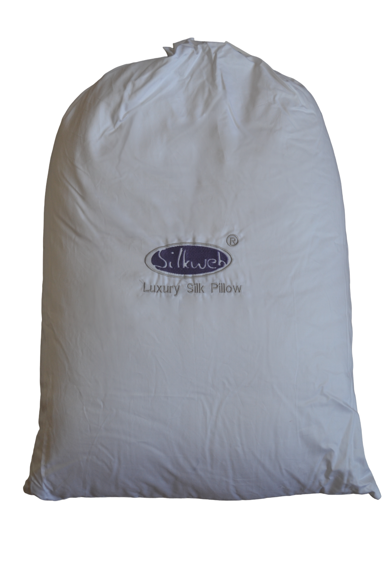Pure Silk Pillow Silkweb