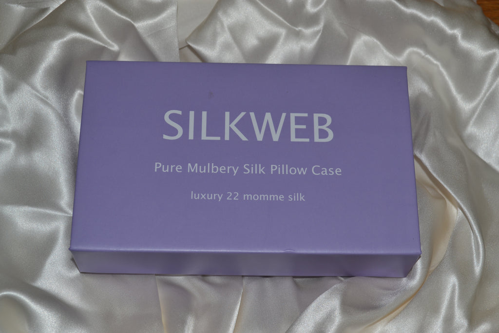 Silkweb pure mulberry silk pillow case gift box